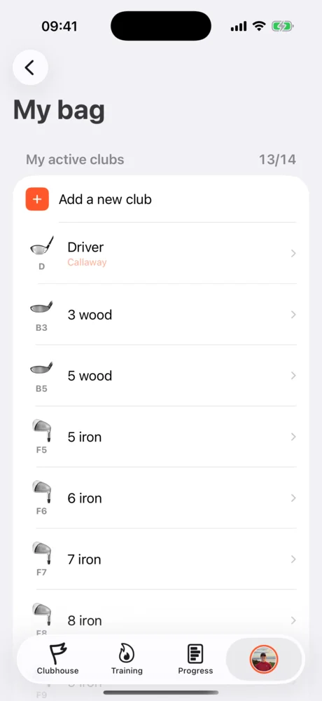 List of active clubs in the bag: driver, woods, irons.
